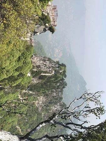 河南沁阳书记为何神农山坠崖？