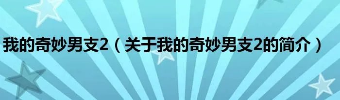 我的奇妙男支2（关于我的奇妙男支2的简介）