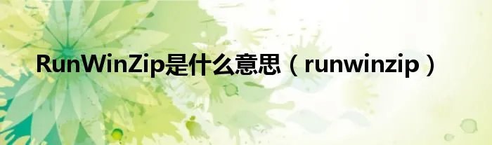 RunWinZip是什么意思(runwinzip)