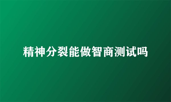 精神分裂能做智商测试吗