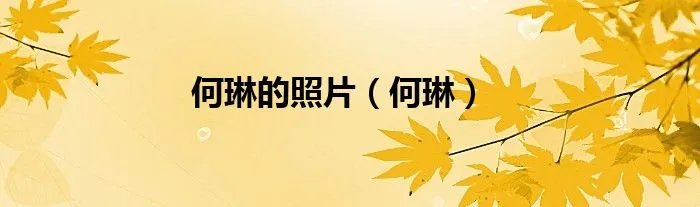 何琳的照片（何琳）