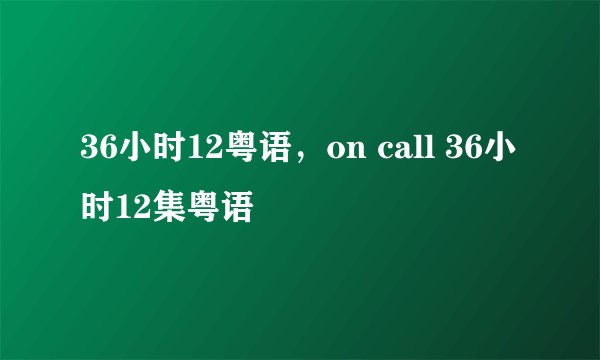 36小时12粤语,on call 36小时12集粤语