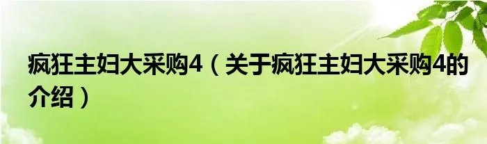 疯狂主妇大采购4（关于疯狂主妇大采购4的介绍）