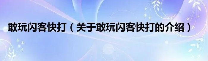 敢玩闪客快打（关于敢玩闪客快打的介绍）
