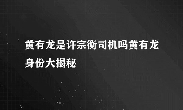 黄有龙是许宗衡司机吗黄有龙身份大揭秘
