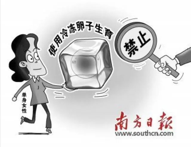 单身女性生育权是否必要?
