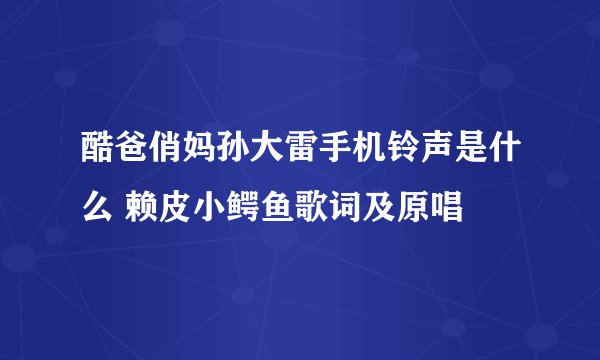 酷爸俏妈孙大雷手机铃声是什么 赖皮小鳄鱼歌词及原唱