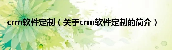 crm软件定制(关于crm软件定制的简介)