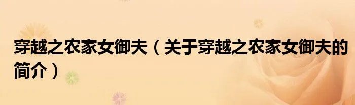 穿越之农家女御夫（关于穿越之农家女御夫的简介）