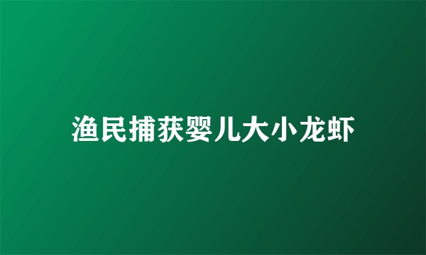 渔民捕获婴儿大小龙虾