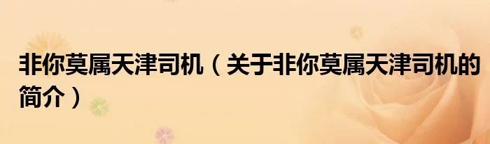 非你莫属天津司机（关于非你莫属天津司机的简介）