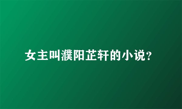 女主叫濮阳芷轩的小说?