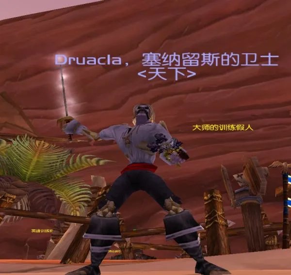 魔兽世界亡灵法师幻化什么好看?套装哪种好看?