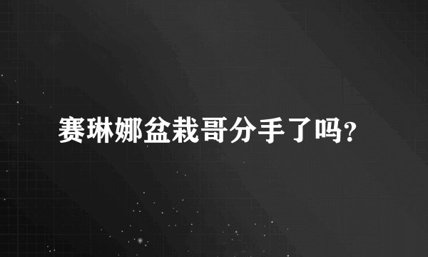 赛琳娜盆栽哥分手了吗?