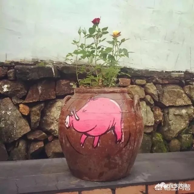 农村的生活垃圾怎么变废为宝?