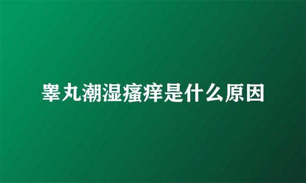 睾丸潮湿瘙痒是什么原因