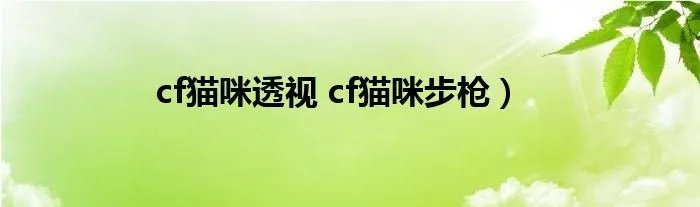 cf猫咪透视 cf猫咪步枪）