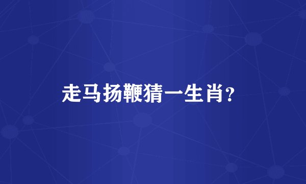 走马扬鞭猜一生肖？