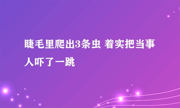 睫毛里爬出3条虫 着实把当事人吓了一跳