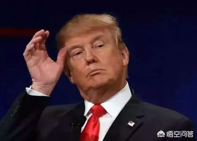 星巴克前CEO欲参加总统竞选,特朗普怎么回应的?你怎么看?