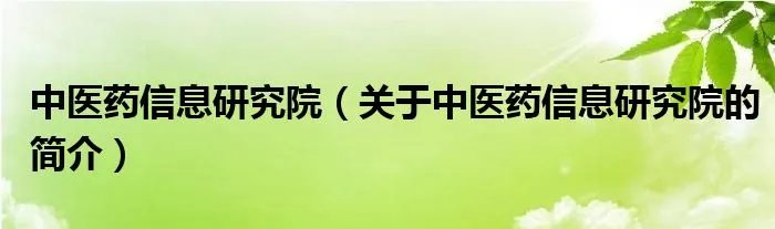 中医药信息研究院（关于中医药信息研究院的简介）