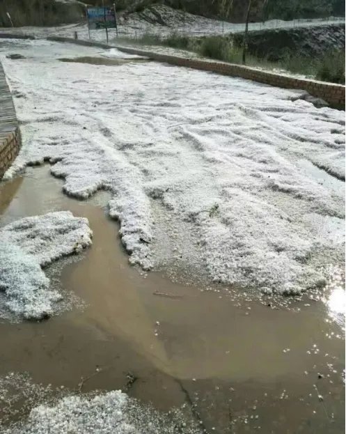 多图陕西榆林遭冰雹情况怎么样?