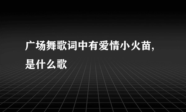广场舞歌词中有爱情小火苗,是什么歌