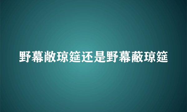 野幕敞琼筵还是野幕蔽琼筵