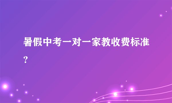 暑假中考一对一家教收费标准?