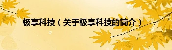 极享科技（关于极享科技的简介）