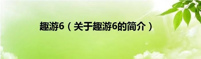 趣游6（关于趣游6的简介）