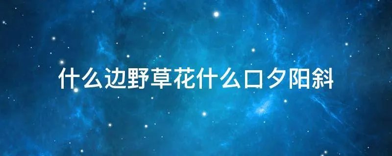 什么边野草花什么口夕阳斜