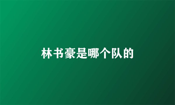 林书豪是哪个队的