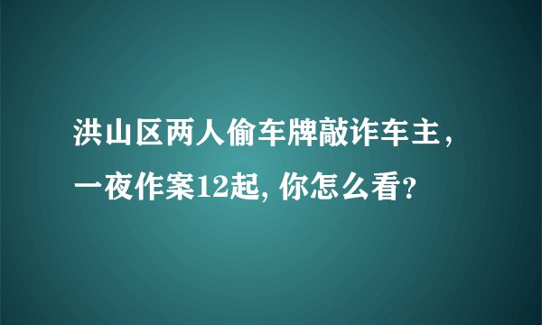 洪山区两人偷车牌敲诈车主,一夜作案12起, 你怎么看?