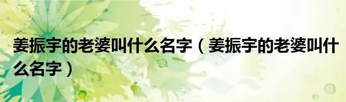 姜振宇的老婆叫什么名字（姜振宇的老婆叫什么名字）