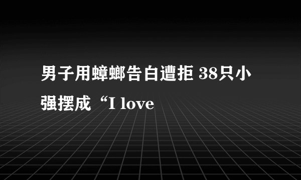 男子用蟑螂告白遭拒 38只小强摆成“I love