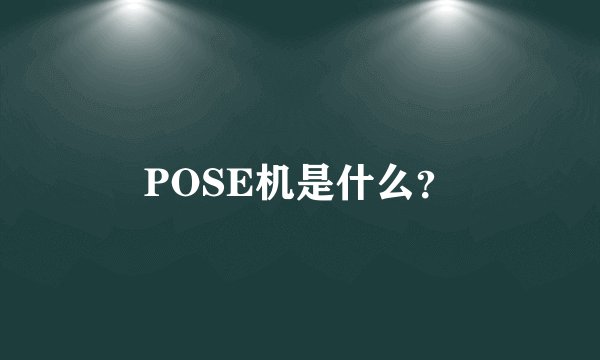 POSE机是什么?