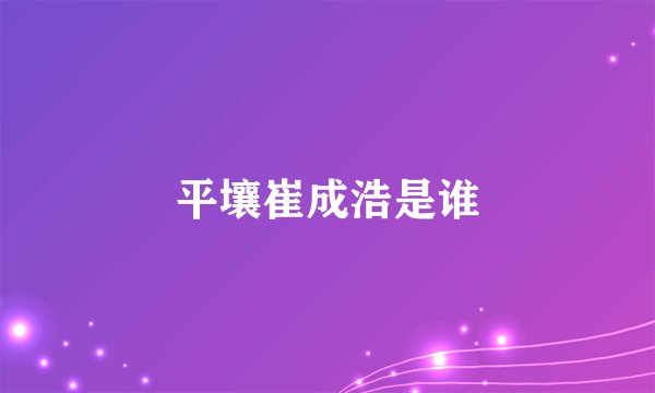 平壤崔成浩是谁