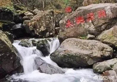 杭州有棵2015岁古柏,被好多人认做干爹,你怎么看?