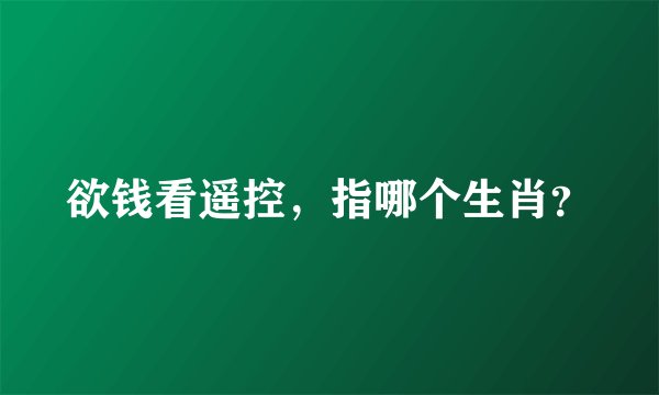 欲钱看遥控，指哪个生肖？