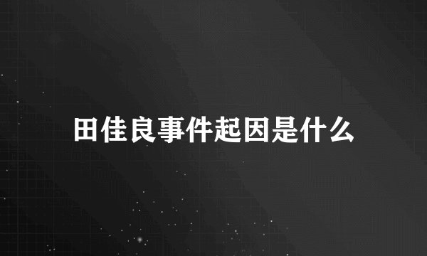 田佳良事件起因是什么