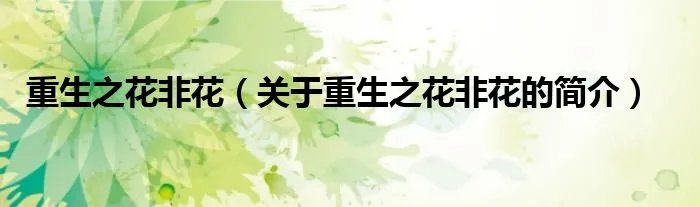 重生之花非花（关于重生之花非花的简介）