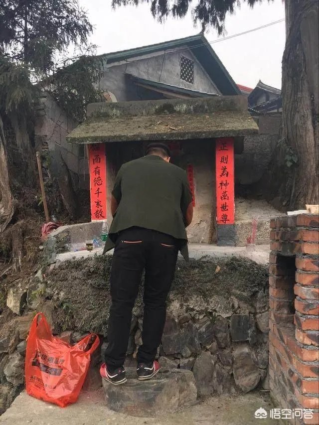 杭州有棵2015岁古柏,被好多人认做干爹,你怎么看?