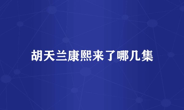胡天兰康熙来了哪几集