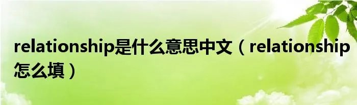 relationship是什么意思中文(relationship怎么填)