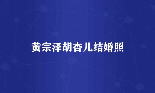 黄宗泽胡杏儿结婚照