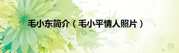 毛小东简介（毛小平情人照片）