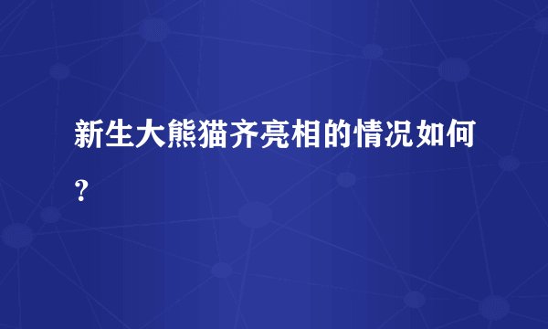 新生大熊猫齐亮相的情况如何?