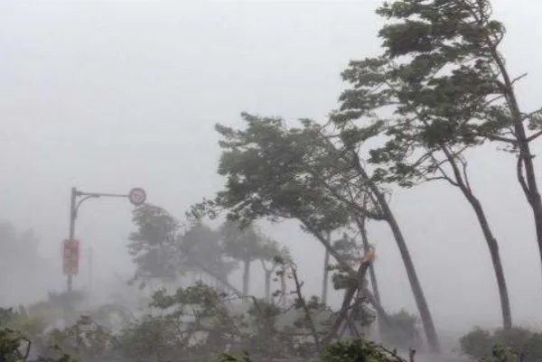 今年的2号台风即将生成,台风的形成都需要哪些条件?