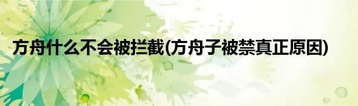 方舟什么不会被拦截(方舟子被禁真正原因)